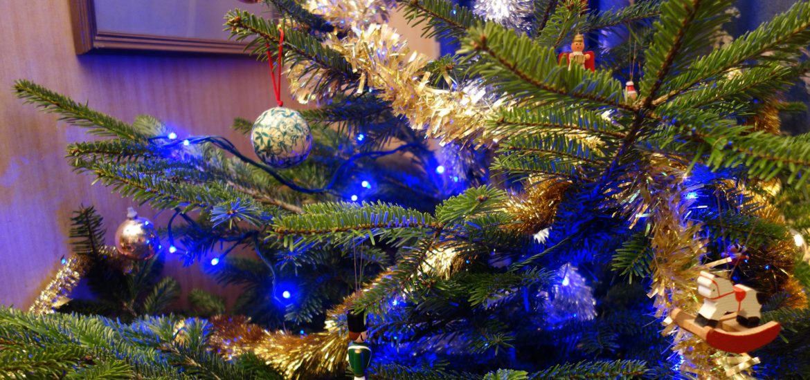 サパン・ドゥ・ノエル