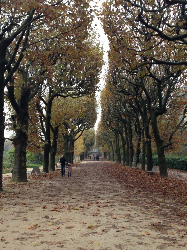 パリ植物園の並木道