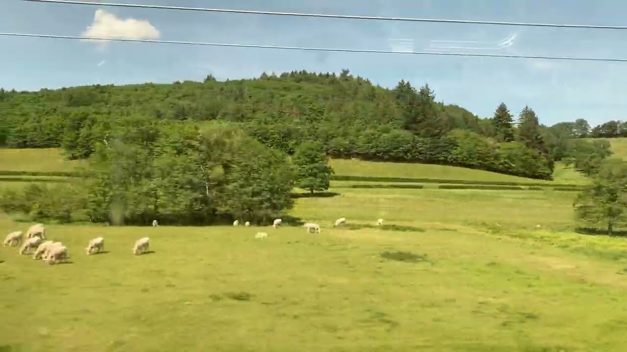 youtube placeholder image